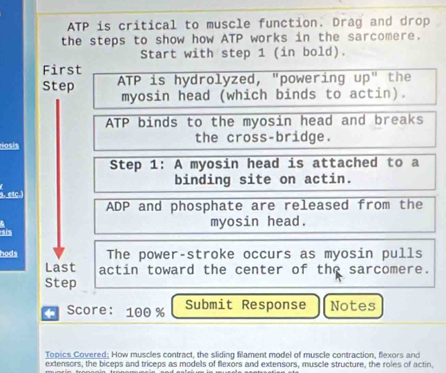 ATP is critical to muscle function. Drag and drop 
the steps to show how ATP works in the sarcomere. 
Start with step 1 (in bold). 
First 
Step ATP is hydrolyzed, "powering up" the 
myosin head (which binds to actin). 
ATP binds to the myosin head and breaks 
iosis the cross-bridge. 
Step 1 : A myosin head is attached to a 
binding site on actin. 
s. etc.) 
ADP and phosphate are released from the 
a 
myosin head. 
sis 
hods The power-stroke occurs as myosin pulls 
Last actin toward the center of the sarcomere. 
Step 
+ Score: 100 % Submit Response Notes 
Topics Covered: How muscles contract, the sliding filament model of muscle contraction, flexors and 
extensors, the biceps and triceps as models of flexors and extensors, muscle structure, the roles of actin,