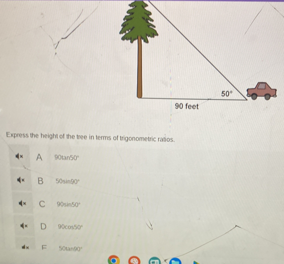 Express the height of the tree in terms of trigonometric ratios.
× A 90tan 50°
B 50sin 90°
C 90sin 50°
D 90cos 50°
F 50tan 90°