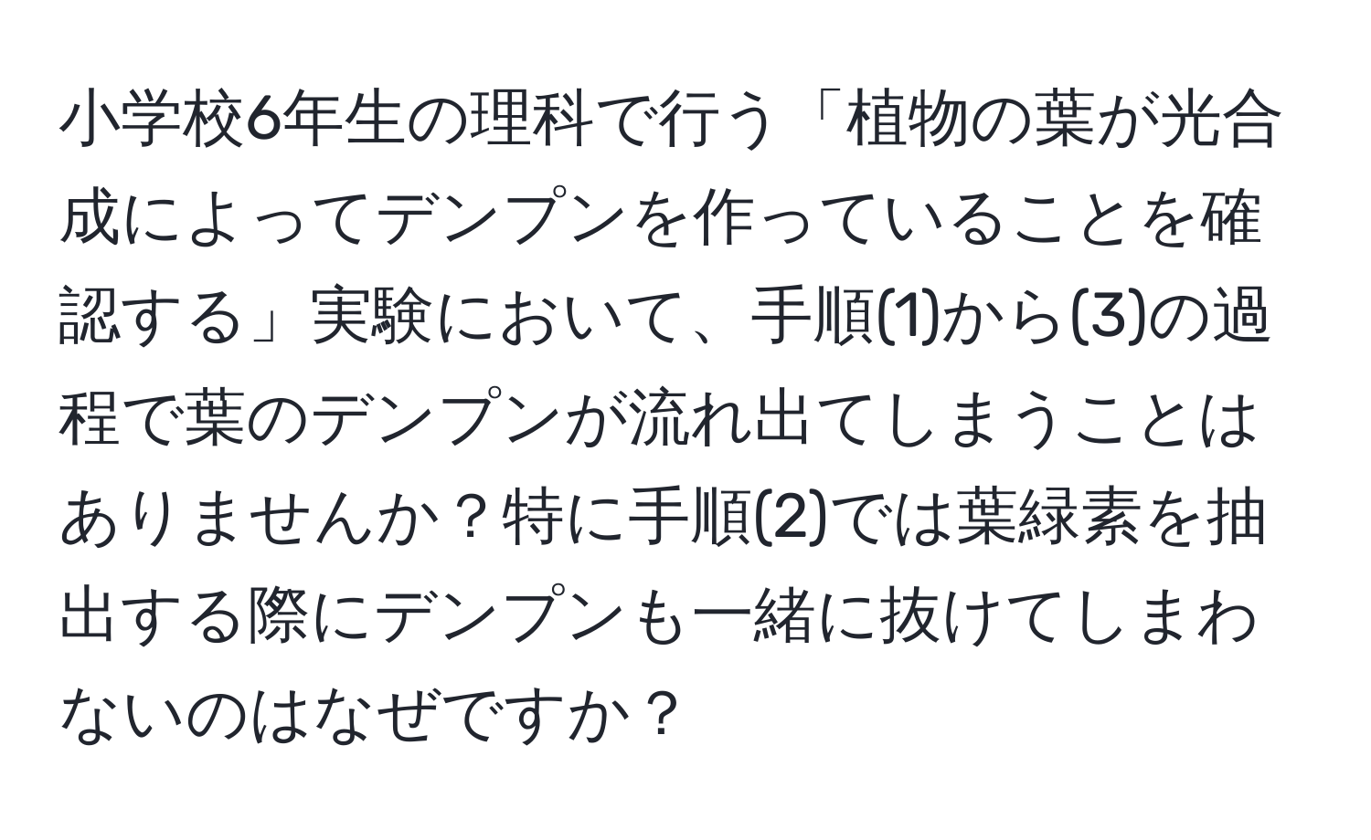 小学校6年生の理科で行う「植物の葉が光合成によってデンプンを作っていることを確認する」実験において、手順(1)から(3)の過程で葉のデンプンが流れ出てしまうことはありませんか？特に手順(2)では葉緑素を抽出する際にデンプンも一緒に抜けてしまわないのはなぜですか？