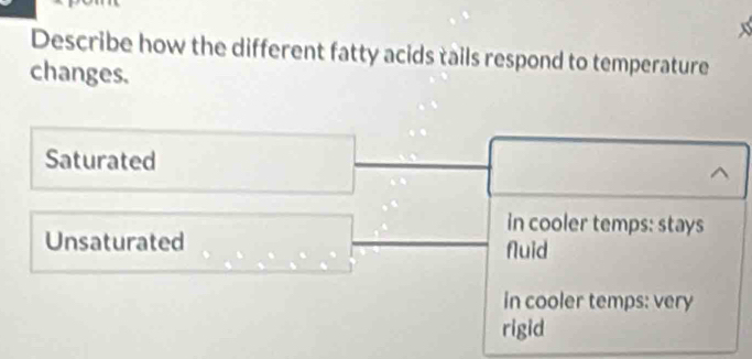 Describe how the different fatty acids tails respond to temperature
changes.
Saturated
in cooler temps: stays
Unsaturated Nuid
in cooler temps: very
rigid