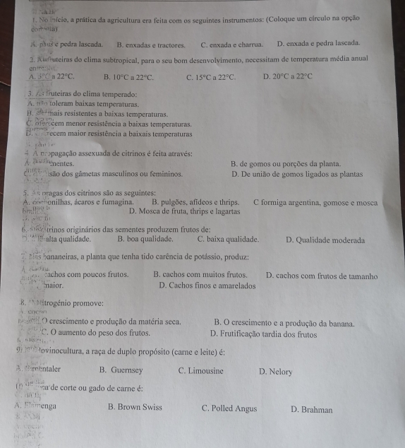 No mício, a prática da agricultura era feita com os seguintes instrumentos: (Coloque um círculo na opção
cor“in)
A. paus e pedra lascada. B. enxadas e tractores. C. enxada e charrua. D. enxada e pedra lascada.
2. Aufruteiras do clima subtropical, para o seu bom desenvolvimento, necessitam de temperatura média anual
entr?
A. j^0( a 22°C. B. 10°C 22°C, C. 15°C a 22°C. D. 20°C a 22°C
3. A fruteiras do clima temperado:
A. não toleram baixas temperaturas.
B. mais resistentes a baixas temperaturas.
C. ofercem menor resistência a baixas temperaturas.
De en recem maior resistência a baixais temperaturas
        
4 A propagação assexuada de citrinos é feita através:
A pementes. B de gomos ou porções da planta.
são dos gâmetas masculinos ou femininos. D. De união de gomos ligados as plantas
5ã  á s pragas dos citrinos são as seguintes:
A. coctonilhas, ácaros e fumagina, B. pulgões, afídeos e thrips. C formiga argentina, gomose e mosca
h    g  b
D. Mosca de fruta, thrips e lagartas
     
6.    trinos originários das sementes produzem frutos de:
* * 19 alta qualidade. B. boa qualidade. C. baixa qualidade. D. Qualidade moderada
7 Mas bananeiras, a planta que tenha tido carência de potássio, produz:
A. 
achos com poucos frutos. B. cachos com muitos frutos. D. cachos com frutos de tamanho
maior. D. Cachos finos e amarelados
8. ' Nitrogénio promove:
Fo! 
O crescimento e produção da matéria seca. B. O crescimento e a produção da banana.
'C. O aumento do peso dos frutos. D. Frutificação tardia dos frutos
、n145
9 Mo Hovinocultura, a raça de duplo propósito (carne e leite) é:
A  nentaler B. Guernsey C. Limousine D. Nelory
ca de corte ou gado de carne é:
       
A. Flamenga B. Brown Swiss C. Polled Angus D. Brahman