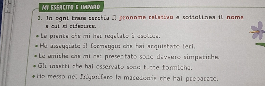 MI ESERCITO E IMPARO 
1. In ogni frase cerchia il pronome relativo e sottolinea il nome 
a cui si riferisce. 
La pianta che mi hai regalato è esotica. 
Ho assaggiato il formaggio che hai acquistato ieri. 
Le amiche che mi hai presentato sono davvero simpatiche. 
Gli insetti che hai osservato sono tutte formiche. 
Ho messo nel frigorifero la macedonia che hai preparato.