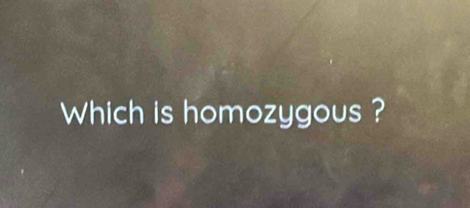 Which is homozygous ?