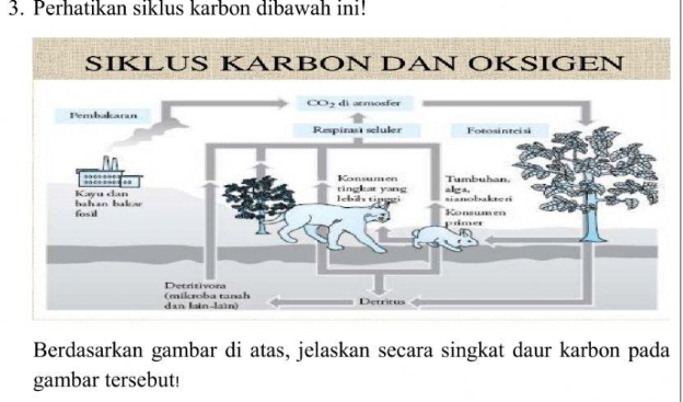 Perhatikan siklus karbon dibawah ini! 
SÍKLUS KÄRBON DAN ÖKSIGEN 
Berdasarkan gambar di atas, jelaskan secara singkat daur karbon pada 
gambar tersebut!