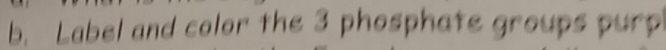 Label and color the 3 phosphate groups purp