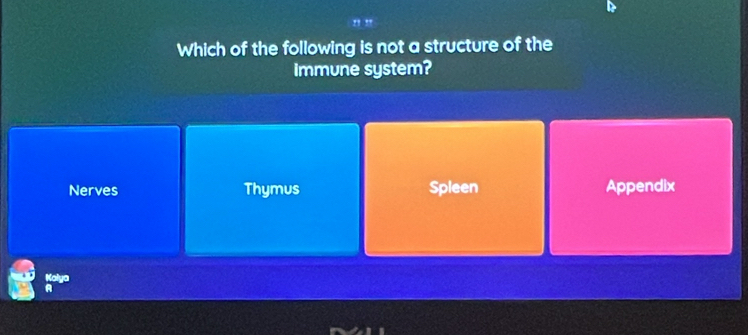 Which of the following is not a structure of the
immune system?
Nerves Thymus Spleen Appendix
Kolya
A