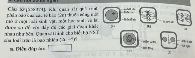 nội tra lồi ngan 
Câu 53 [558374]: Khi quan sát quá trìn 
phân bào của các tế bào (2n) thuộc cùng mộ 
mô ở một loài sinh vật, một học sinh vẽ lạ 
được sơ đồ với đầy đủ các giai đoạn khá 
nhau như bên. Quan sát hình cho biết bộ NS 
của loài trên là bao nhiêu (2n=?) ? 
2 Điền đáp án: