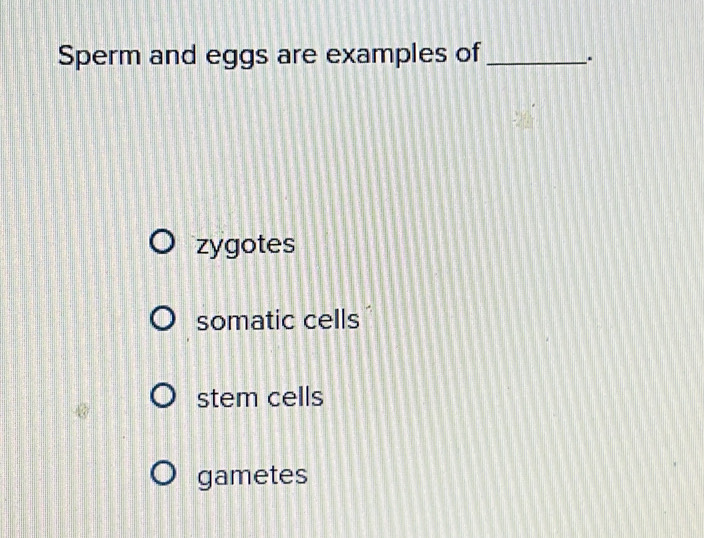 Solved: Sperm and eggs are examples of_ . zygotes somatic cells stem ...