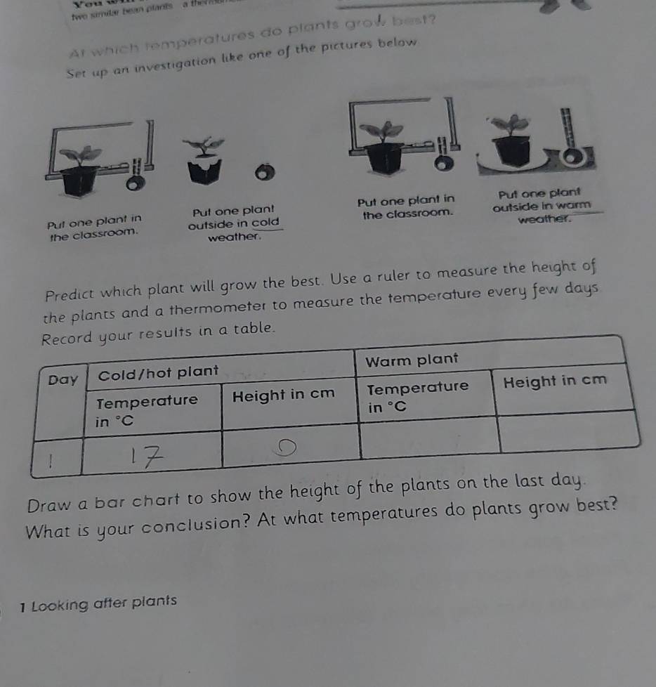 You
two similar bean plants a the  
At which temperatures do plants grow best?
Set up an investigation like one of the pictures below
Put one plan! Put one plant in Put one plant
Pul one plant in outside in cold the classroom. outside in warm
weather.
the classroom. weather.
Predict which plant will grow the best. Use a ruler to measure the height of
the plants and a thermometer to measure the temperature every few days
table.
Draw a bar chart to show the height of the plant
What is your conclusion? At what temperatures do plants grow best?
1 Looking after plants