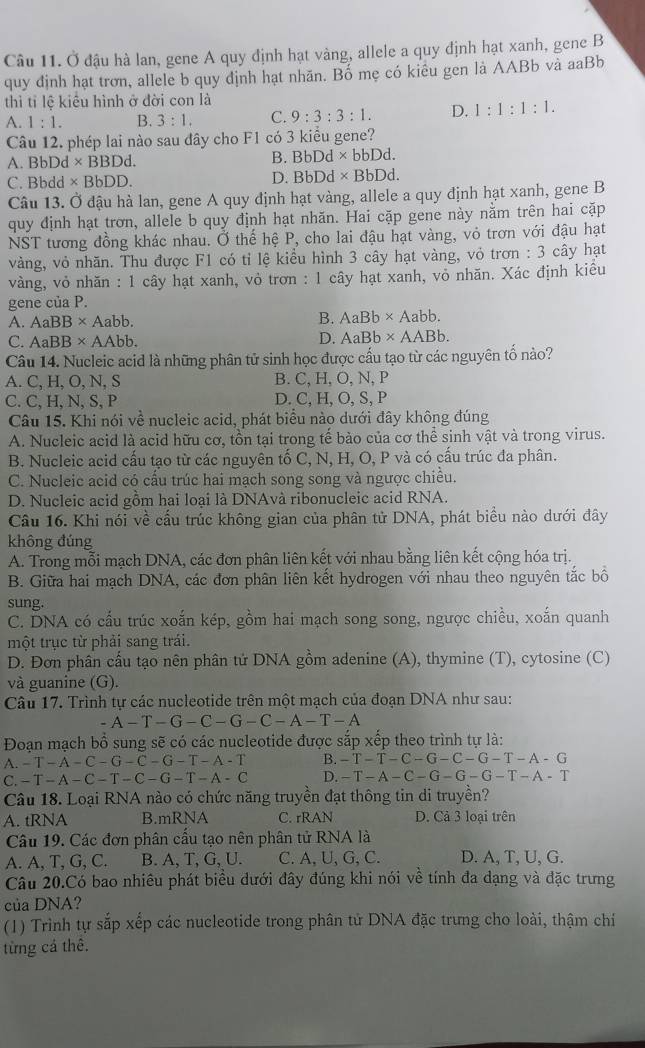 Ở đậu hà lan, gene A quy định hạt vàng, allele a quy định hạt xanh, gene B
quy định hạt trơn, allele b quy định hạt nhãn. Bố mẹ có kiểu gen là AABb và aaBb
thì tỉ lệ kiểu hình ở đời con là
A. 1:1. B. 3:1. C. 9:3:3:1. D. 1:1:1:1.
Câu 12. phép lai nào sau đây cho F1 có 3 kiểu gene?
A. Bb Dd * BBDd. B. BbDd * bb0) d
C. Bbdd * BbDD. D. BbDd * Bb Dd.
Câu 13. Ở đậu hà lan, gene A quy định hạt vàng, allele a quy định hạt xanh, gene B
quy định hạt trơn, allele b quy định hạt nhăn. Hai cặp gene này nằm trên hai cặp
NST tương đồng khác nhau. Ở thế hệ P, cho lai đậu hạt vàng, vỏ trơn với đậu hạt
vàng, vỏ nhăn. Thu được F1 có tỉ lệ kiều hình 3 cây hạt vàng, vỏ trơn : 3 cây hạt
vàng, vỏ nhăn : 1 cây hạt xanh, vỏ trơn : 1 cây hạt xanh, vỏ nhăn. Xác định kiều
gene của P.
A. AaBB* Aabb.
B. AaBb* Aabb.
C. AaBB* AAbb.
D. AaBb* AABb.
Câu 14. Nucleic acid là những phân tử sinh học được cấu tạo từ các nguyên tố nào?
A. C, H, O, N, S B. C, H, O, N, P
C. C, H, N, S, P D. C, H, O, S, P
Câu 15. Khi nói về nucleic acid, phát biểu nào dưới đây không đúng
A. Nucleic acid là acid hữu cơ, tồn tại trong tế bào của cơ thể sinh vật và trong virus.
B. Nucleic acid cấu tạo từ các nguyên tố C, N, H, O, P và có cấu trúc đa phân.
C. Nucleic acid có cấu trúc hai mạch song song và ngược chiều.
D. Nucleic acid gồm hai loại là DNAvà ribonucleic acid RNA.
Câu 16. Khi nói về cầu trúc không gian của phân tử DNA, phát biểu nào dưới đây
không đúng
A. Trong mỗi mạch DNA, các đơn phân liên kết với nhau bằng liên kết cộng hóa trị.
B. Giữa hai mạch DNA, các đơn phân liên kết hydrogen với nhau theo nguyên tắc bồ
sung.
C. DNA có cấu trúc xoắn kép, gồm hai mạch song song, ngược chiều, xoắn quanh
một trục từ phải sang trái.
D. Đơn phân cấu tạo nên phân tử DNA gồm adenine (A), thymine (T), cytosine (C)
và guanine (G).
Câu 17. Trình tự các nucleotide trên một mạch của đoạn DNA như sau:
A-T-G-C-G-C-A-T-A
Đoạn mạch bổ sung sẽ có các nucleotide được sắp xếp theo trình tự là:
^ -T-A-C-G-C-G-T-A-T B. -T-T-C-G-C-G-T-A-G
C. -T-A-C-T-C-G-T-A-C D. -T-A-C-G-G-G-T-A-T
Câu 18. Loại RNA nào có chức năng truyền đạt thông tin di truyền?
A. tRNA B.mRNA C. rRAN D. Cả 3 loại trên
Câu 19. Các đơn phân cấu tạo nên phân tử RNA là
A. A, T, G, C. B. A, T, G, U. C. A, U, G, C. D. A, T, U, G.
Câu 20.Có bao nhiêu phát biểu dưới đây đúng khi nói về tính đa dạng và đặc trưng
của DNA?
(1) Trình tự sắp xếp các nucleotide trong phân tử DNA đặc trưng cho loài, thậm chỉ
từng cá thê.