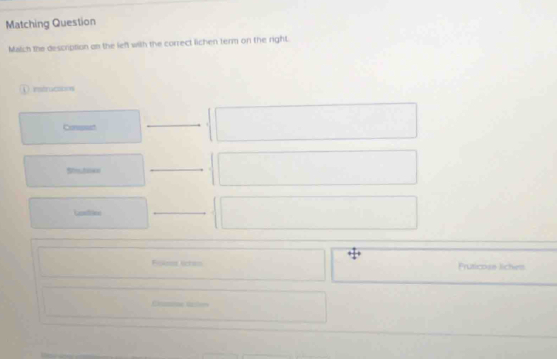 Matching Question
Match the description on the left with the correct lichen term on the right.
① intrucaions
Conspsed
Staes
Cention
Fom lichan Pruticose liches
Cmme Gnters