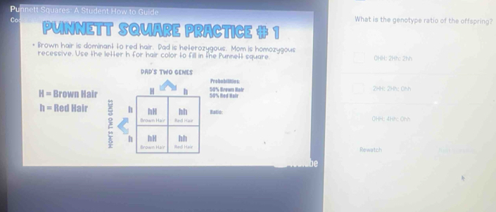 Punnett Squares: A Student How to Guide What is the genotype ratio of the offspring? 
Co PUNNETT SQUARE PRACTICE # 1 
Brown hair is dominant to red hair. Dad is heterozygous. Mom is homozygous 
recessive. Use the letter h for hair color to fill in the Punnet square OHH: 2Hh: 2hh 
DAD'S TWO GENES 
Probabilities
H= Brown Hair H h 50% Red Hair 50% Brown Hair 2HH: 2Hh: Ohh
h= Red Hair h h hh Batic: 
Brown Hair Red Hair OHH: 4Hh: Ohh 
h hH hh 
Brown Hair Red Hair Rewatch