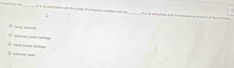 Posteriorly, the_ of a nb articulates with the body of a thoracic vertebra and the_ of a rib articulates with the transverse process of the vertebra.
head; tubercle
tubercle; costal cartilage
head; costal cartilage
tubercie; head