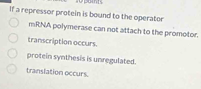 If a repressor protein is bound to the operator
mRNA polymerase can not attach to the promotor.
transcription occurs.
protein synthesis is unregulated.
translation occurs.