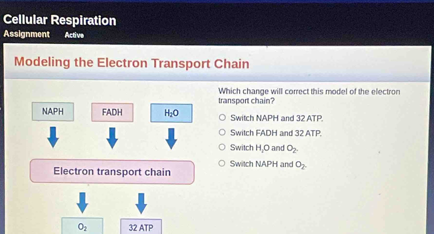 Cellular Respiration
Assignment Active
Modeling the Electron Transport Chain
Which change will correct this model of the electron
transport chain?
NAPH FADH H_2O Switch NAPH and 32 ATP.
Switch FADH and 32 ATP.
Switch H_2O and O_2.
Switch NAPH and O_2. 
Electron transport chain
O_2 32 ATP