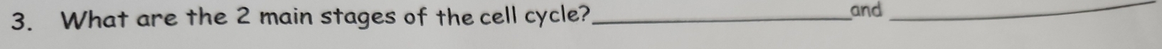 What are the 2 main stages of the cell cycle?_ and_