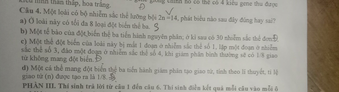 cu hình thân thấp, hoa trăng.
gống chính no có thể có 4 kiêu gene thu được
Câu 4. Một loài có bộ nhiễm sắc thể lưỡng bội 2n=14 , phát biểu nào sau đây đúng hay sai?
a) Ở loài này có tối đa 8 loại đột biến thể ba.
b) Một tế bào của đột biến thể ba tiến hành nguyên phân; ở kì sau có 30 nhiễm sắc thể đơnĐ
c) Một thể đột biến của loài này bị mất 1 đoạn ở nhiễm sắc thể số 1, lặp một đoạn ở nhiễm
sắc thể số 3, đảo một đoan ở nhiễm sắc thể số 4, khi giảm phân bình thường sẽ có 1/8 giao
từ không mang đột biến.
d) Một cá thể mang đột biến thể ba tiến hành giảm phân tạo giao tử, tính theo lí thuyết, tỉ lệ
giao từ (n) được tạo ra là 1/8.
PHÀN III. Thí sinh trả lời từ câu 1 đến câu 6. Thí sinh điền kết quả mỗi câu vào mỗi ô