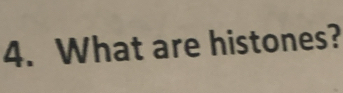 What are histones?
