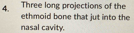 Three long projections of the 
ethmoid bone that jut into the 
nasal cavity.