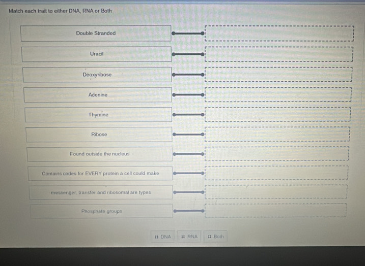 Match each trait to either DNA, RNA or Both
Double Stranded
Uracil
Deoxyribose
Adenine
Thymine
Ribose
Found outside the nucleus
Contains codes for EVERY protein a cell could make
messenger, transfer and ribosomal are types
Phosphate groups
:: DNA :: RNA # Both