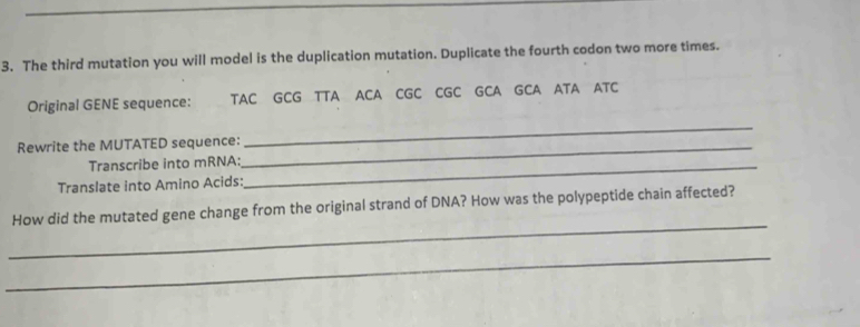 The third mutation you will model is the duplication mutation. Duplicate the fourth codon two more times. 
Original GENE sequence: TAC GCG TTA ACA CGC CGC GCA GCA ATA ATC 
Rewrite the MUTATED sequence:_ 
_ 
Transcribe into mRNA:_ 
Translate into Amino Acids: 
_ 
How did the mutated gene change from the original strand of DNA? How was the polypeptide chain affected? 
_