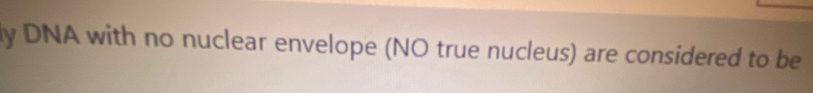 DNA with no nuclear envelope (NO true nucleus) are considered to be