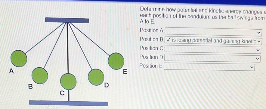 Determine how potential and kinetic energy changes a
each position of the pendulum as the ball swings from
A to E.
Position A □ □  
Position B: is losing potential and gaining kinetic
Position C □ 
Position D: □ 
Position E □