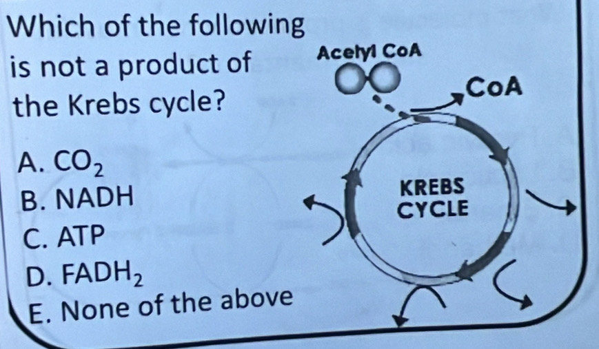 Which of the following
is not a product of 
the Krebs cycle?
A. CO_2
B. NADH
C. ATP
FADH_2
E. None of the abov