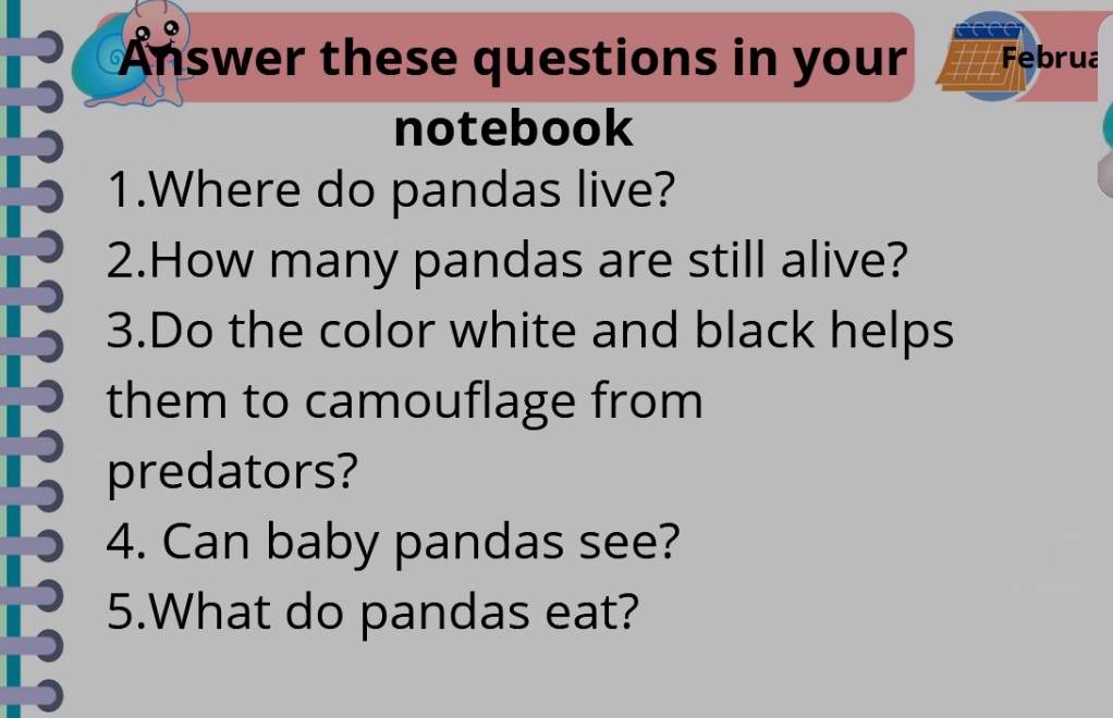 Answer these questions in your Februa 
notebook 
1.Where do pandas live? 
2.How many pandas are still alive? 
3.Do the color white and black helps 
them to camouflage from 
predators? 
4. Can baby pandas see? 
5.What do pandas eat?