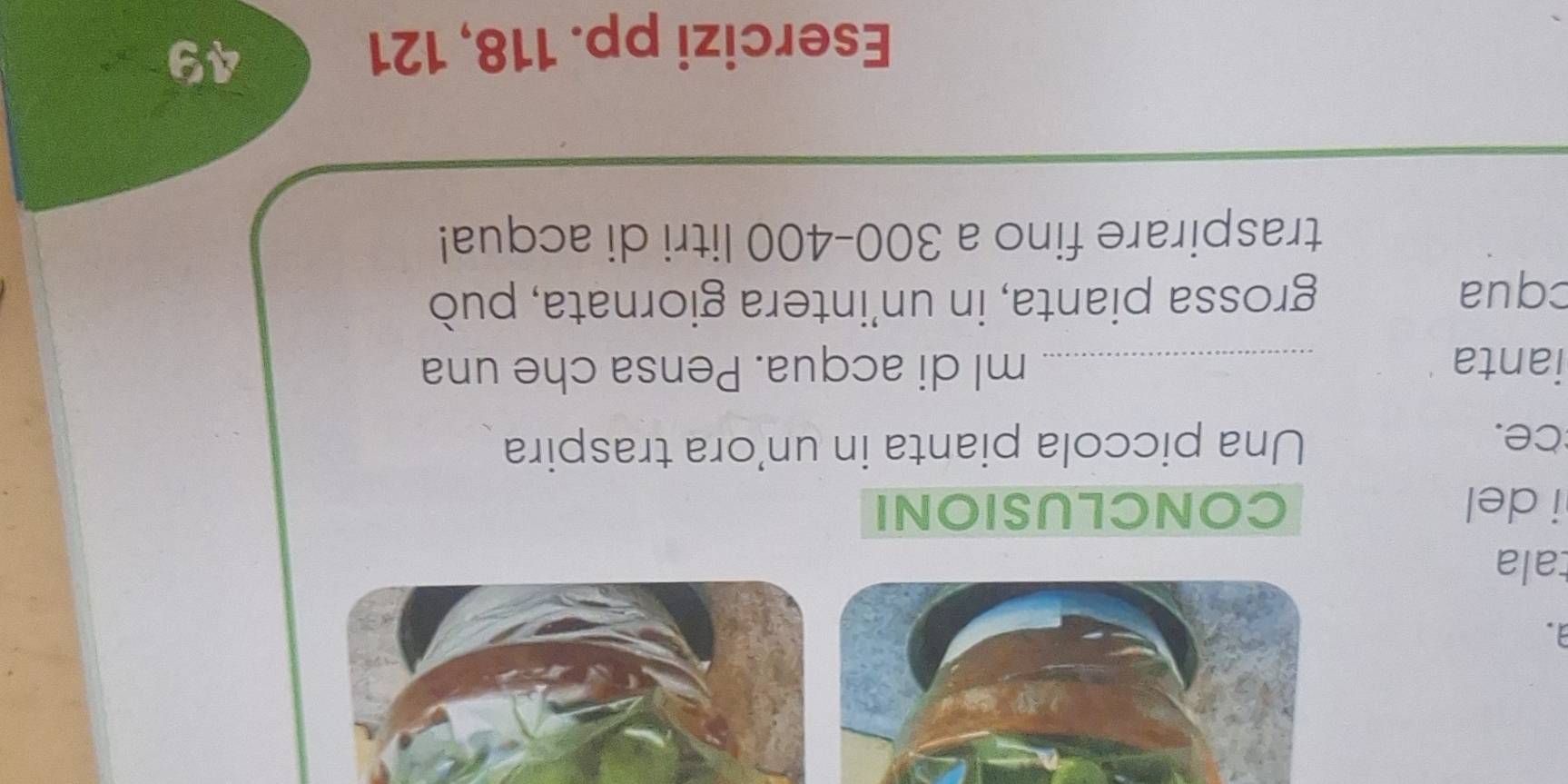 tala 
i del CONCLUSIONI 
ce. Una piccola pianta in un'ora traspira 
ianta _ml di acqua. Pensa che una 
cqua grossa pianta, in un’intera giornata, può 
traspirare fino a 300-400 litri di acqua! 
Esercizi pp. 118, 121
49