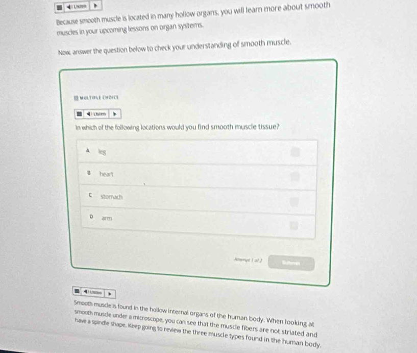 [ Listeó
Because smooth muscle is located in many hollow organs, you will learn more about smooth
muscles in your upcoming lessons on organ systems.
Now, answer the question below to check your understanding of smooth muscle.
B MULTIPLE CHOICE
dì Liscen
In which of the following locations would you find smooth muscle tissue?
A leg
heart
c stomach
D
Ansept I of ) Euthres
41 Usten
Smooth muscle is found in the hollow internal organs of the human body. When looking at
smooth muscle under a microscope, you can see that the muscle fibers are not striated and
have a spindle shape. Keep going to review the three muscle types found in the human body.