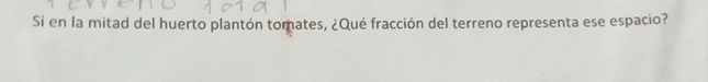 Si en la mitad del huerto plantón tomates, ¿Qué fracción del terreno representa ese espacio?