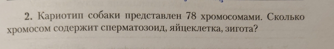 Кариотиίл собаки представлен 78 хромосомамие Сколько 
хромосом содержит сперматозоид, яйцеклетка, зигота?