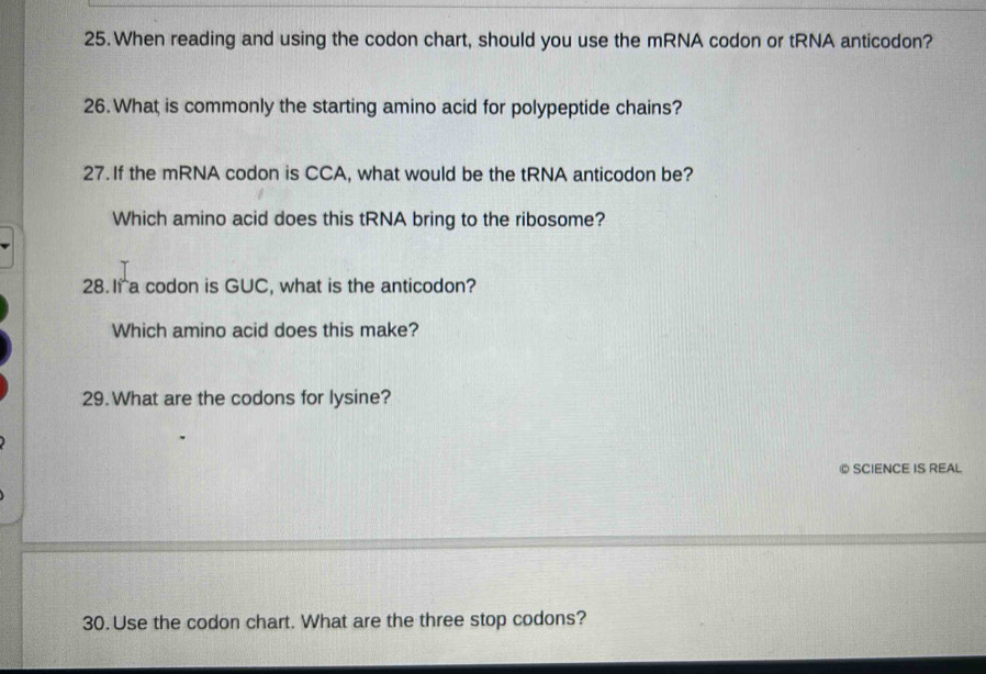 Solved: When reading and using the codon chart, should you use the mRNA ...