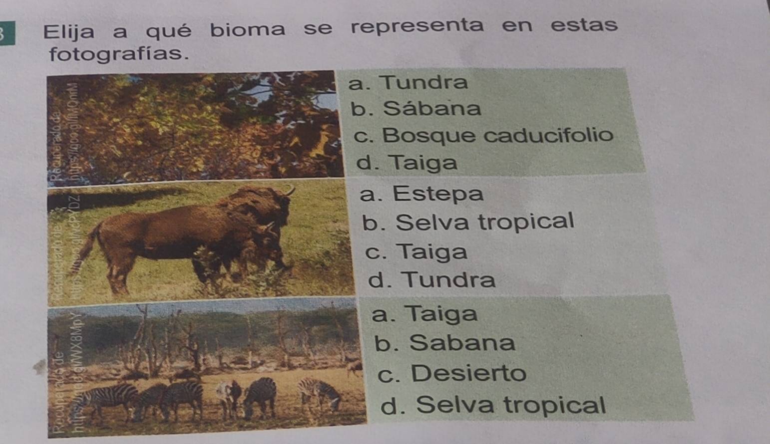 Elija a qué bioma se representa en estas
fotografías.
a. Tundra
b. Sábana
c. Bosque caducifolio
d. Taiga
a. Estepa
b. Selva tropical
c. Taiga
d. Tundra
a. Taiga
b. Sabana
c. Desierto
d. Selva tropical