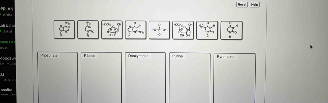 Reset Help
PR IAN
Artist
ali Uchis
ave to
rtist
Moodswi Phosphate Ribose Deoxyribose Purine Pyrimidine
lbum • D
DJ
link to et
bonfire