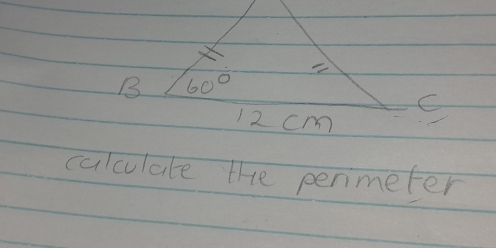 60°
C
12 Cm
calculate the perimeter