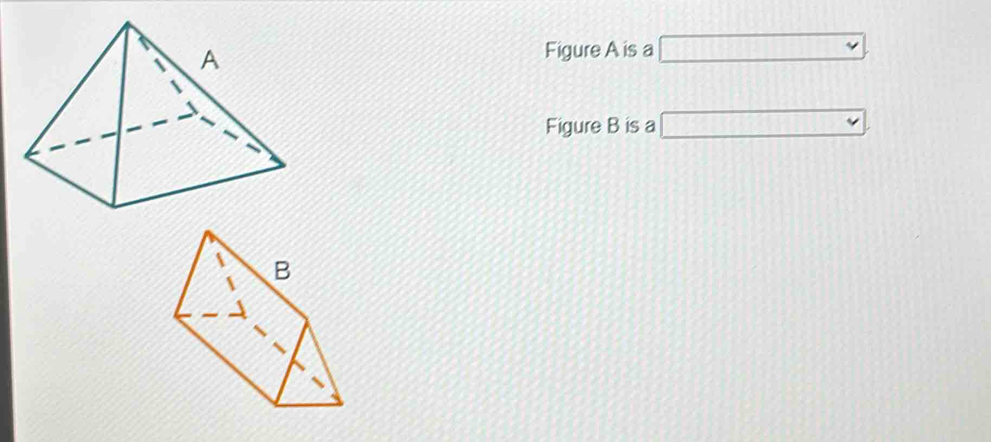 Figure A is a □
Figure B is a □