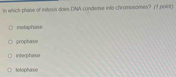 In which phase of mitosis does DNA condense into chromosomes? (1 point)
metaphase
prophase
interphase
telophase