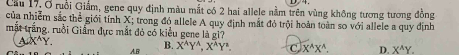 Cầu 17. Ở ruồi Giấm, gene quy định màu mắt có 2 hai allele nằm trên vùng không tương tương đồng
của nhiễm sắc thể giới tính X; trong đó allele A quy định mắt đỏ trội hoàn toàn so với allele a quy định
mắt trắng. ruồi Giấm đực mắt đỏ có kiều gene là gì?
A X^(wedge)Y.
B.
AB X^AY^A, X^AY^a. C X^AX^A. D. X^AY.