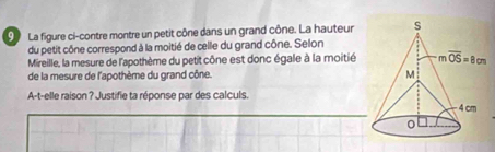 La figure ci-contre montre un petit cône dans un grand cône. La hauteur
du petit cône correspond à la moitié de celle du grand cône. Selon
Mireille, la mesure de l'apothème du petit cône est donc égale à la moitié 
de la mesure de l'apothème du grand cône. 
A-t-elle raison ? Justifie ta réponse par des calculs.