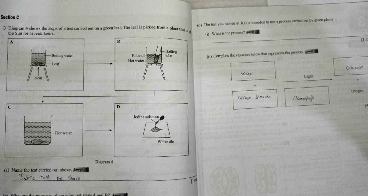 Diagram 4 shows the steps of a test carried out on a green leaf. The leaf is picked from a plant that is lef (d) The test you named in 3(a) is intended to test a process carried out by green plants. 
the Sun for several hours. 
(i) What is the process? Lovel: 
[1 m 

(ii) Complete the equation below that represents the process. L h 
Grlucose 
Water Light 
Oxygen 
Carbon dioxide Chiorophyll 
C 
14 
Hot water 
Diagram 4 
(a) Name the test carried out above. Level : 
_ 
[l ≡