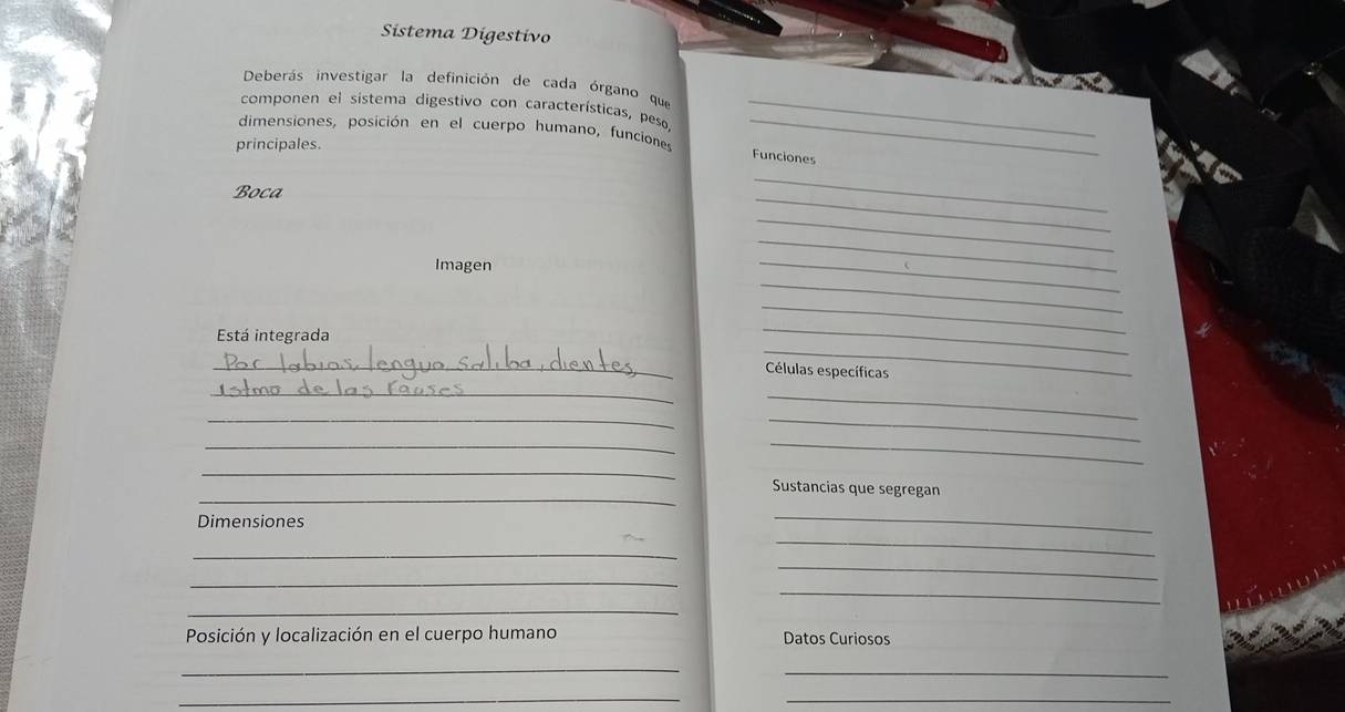 Sistema Digestivo 
Deberás investigar la definición de cada órgano que 
componen el sistema digestivo con características, peso_ 
dimensiones, posición en el cuerpo humano, funciones_ 
principales. 
Funciones 
_ 
Boca 
_ 
_ 
Imagen 
_ 
_ 
_ 
_ 
_ 
_ 
Está integrada 
_Células específicas 
_ 
_ 
__ 
_ 
_ 
_ 
_ 
Sustancias que segregan 
Dimensiones 
_ 
_ 
_ 
_ 
_ 
_ 
_ 
Posición y localización en el cuerpo humano Datos Curiosos 
_ 
_ 
_ 
_