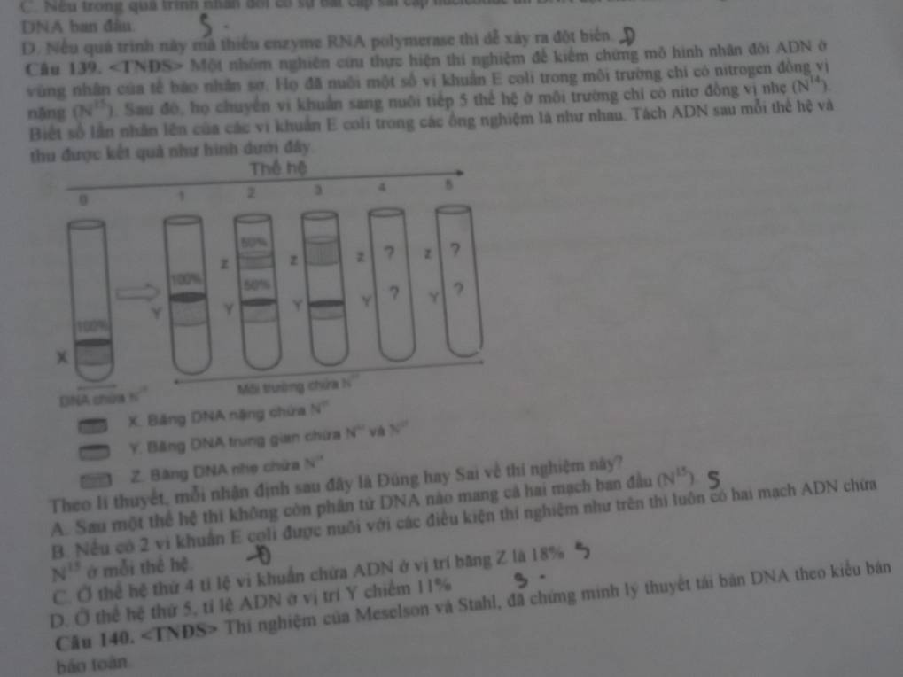 (   Nếu trong quả trình nhân đối có sự bái cấp sai  c
DNA ban đâu.
D. Nều quá trình này mã thiếu enzyme RNA polymerase thi dễ xây ra đột biển.
Câu 139. ∠ TNDS> + Một nhóm nghiên cứu thực hiện thí nghiệm đế kiếm chứng mô hình nhân đôi ADN ở
vùng nhân của tế bảo nhân sơ. Họ đã nuôi một số vi khuẩn E coli trong môi trường chi có nitrogen đồng vì
nặng (N^(15)) ). Sau đô, họ chuyển vi khuẩn sang nuôi tiếp 5 thể hệ ở môi trường chi có nitơ đồng vị nhẹ (N^(14))
Biết số lần nhân lên của các vi khuẩn E coli trong các ông nghiệm là như nhau. Tách ADN sau mỗi thế hệ và
thu được kết quả như hình dưới đây.
DNA chứa
X. Băng DNA nặng chứa N°
Y. Băng DNA trung gian chứa N° và N°
Z. Băng DNA nhẹ chữa N''
Theo lí thuyết, mỗi nhận định sau đây là Đúng hay Sai về thí nghiệm này?
A. Sau một thể hệ thì không còn phân tử DNA nào mang cả hai mạch ban đầu (N^(15))
B. Nếu có 2 vi khuẩn E coli được nuôi với các điều kiện thí nghiệm như trên thi luôn có hai mạch ADN chứa
N^(15) ở mỗi thể hệ
C. Ở thể hệ thứ 4 tỉ lệ vi khuẩn chứa ADN ở vị trí băng Z là 18%
D. Ở thể hệ thứ 5, tỉ lệ ADN ở vị trí Y chiếm 11%
Cầu 140. Thí nghiệm của Meselson và Stahl, đã chứng minh lý thuyết tái bản DNA theo kiểu bản
báo toàn