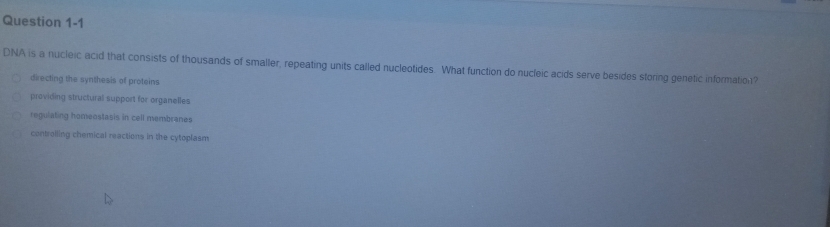 DNA is a nucleic acid that consists of thousands of smaller, repeating units called nucleotides. What function do nucleic acids serve besides storing genetic information?
directing the synthesis of proteins
providing structural support for organelles
regulating homeostasis in cell membranes
controlling chemical reactions in the cytoplasm