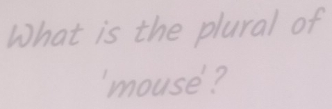 What is the plural of 
'mouse ?