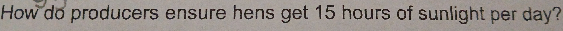 How do producers ensure hens get 15 hours of sunlight per day?