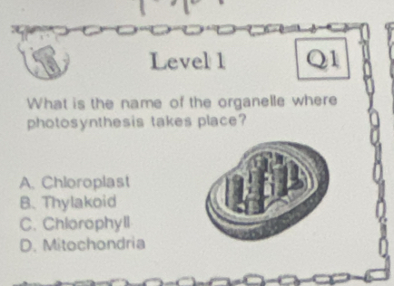 Level 1 
What is the name of the organelle where
photosynthesis takes place?
A. Chloroplast
B. Thylakoid
C. Chlorophyll
D. Mitochondria