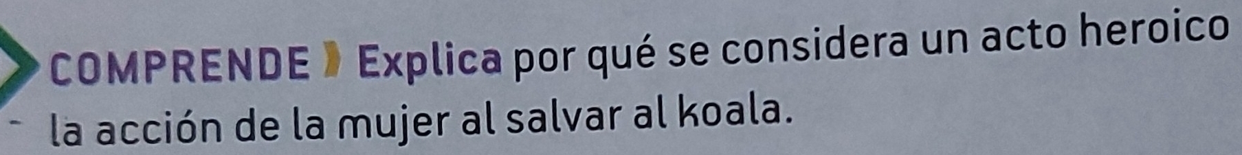 COMPRENDE 》 Explica por qué se considera un acto heroico 
la acción de la mujer al salvar al koala.