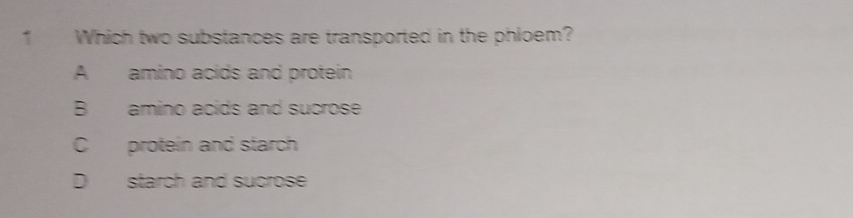 Which two substances are transported in the phloem?
A amino acids and protein
B amino acids and sucrose
C protein and starch
D starch and sucrose